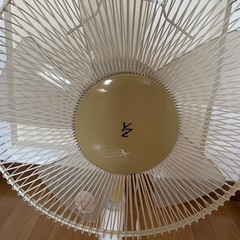 YAMAZEN扇風機 LT-K30 の画像