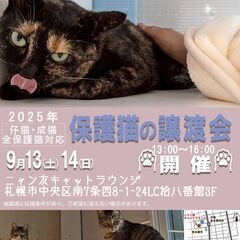 【札幌】ニャン友キャットラウンジ譲渡会〈9/13-14〉