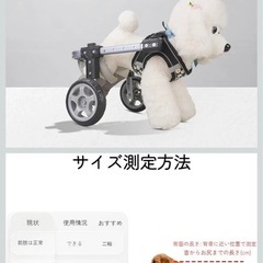 犬用介護車椅子の画像