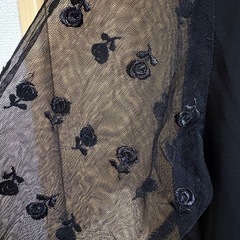 シースルートップス　XL sizeの画像