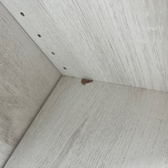 カラーボックスの画像