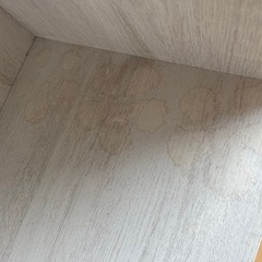 カラーボックスの画像