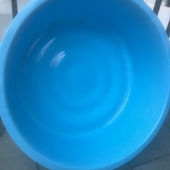 大きなタライの画像