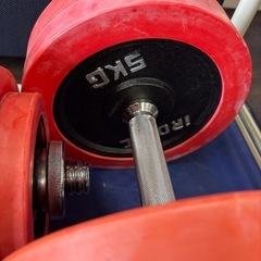 【JY014】アイロテック IROTEC ラバーダンベル60KG(片手30KG×2個)の画像