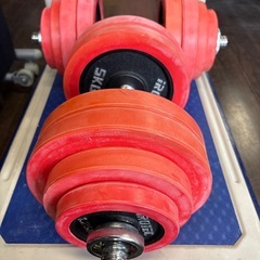 【JY014】アイロテック IROTEC ラバーダンベル60KG(片手30KG×2個)の画像