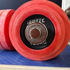 【JY014】アイロテック IROTEC ラバーダンベル60KG(片手30KG×2個)の画像