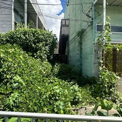草刈り伐採&処分　見積もりよろしくお願い申し上げます。の画像