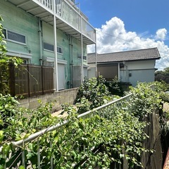 草刈り伐採&処分　見積もりよろしくお願い申し上げます。の画像