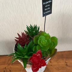 ✨多肉植物✨フェイク✨セット✨の画像
