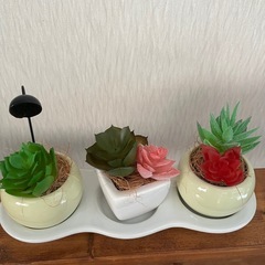 ✨多肉植物✨フェイク✨セット✨の画像