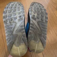 2足セット　NIKE スニーカー サンダル　25〜25.5cm の画像