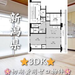 【初期費用ゼロ物件】新潟県の3DK✨仲介手数料無料🏠🌸
