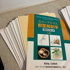 【裁断済】 カラーアトラス 獣医解剖学 第2版 上下巻セットの画像