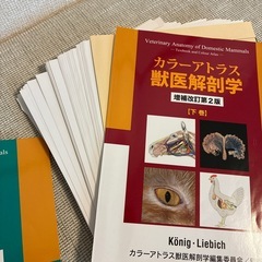 【裁断済】 カラーアトラス 獣医解剖学 第2版 上下巻セットの画像