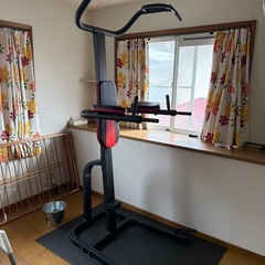 懸垂マシンの画像