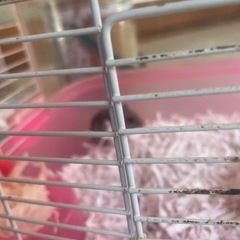 ハムスターゲージの画像