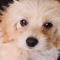 秋の大特価