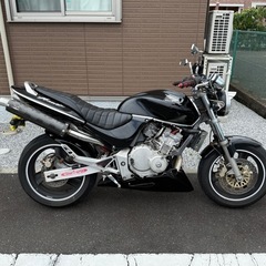 ホンダ ホーネット 250自賠責2年付の画像