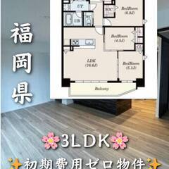 初期費用ゼロ　福岡県福岡市　家賃280000円　ペット相談可