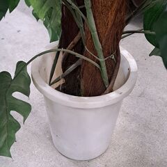 【リサイクルショップどりーむ天保山店】NO.3754　造花　観葉植物　写真参照🎵　おすすめ品🎵の画像