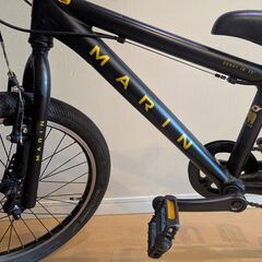 自転車　ジュニア　MARIN DONKY JR 20インチの画像