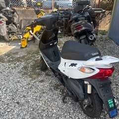 jog、zr50の画像