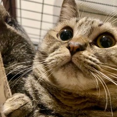 【ナラ】ポヨポヨ癒し系女子🎀