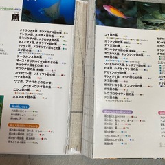 絵本の画像