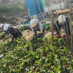 ▼正社員：造園作業員【経験者募集】▼ 技術と経験を正当に評価！スキルに応じた高待遇◎ 現場は東海3県内のみ！地域密着で安定して働ける◎ 社長と距離が近く、裁量を持って動けるフラットな職場◎の画像