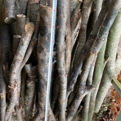 薪　広葉樹の画像