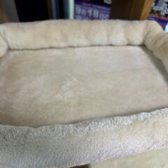 【リサイクルストアスターズ城西店】 【中古品】キャットタワーの画像