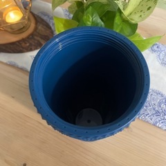 スタバ　タンブラー　新作　うさぎ　新品未使用
の画像