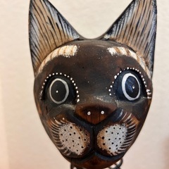 バリ島の猫の画像