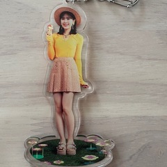 柴田柚菜 アクリルキーホルダー、マグネットセットの画像