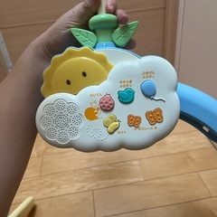 プーメリー
の画像