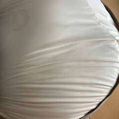【受渡確定】無印良品人をダメにするクッション、ビーズソファ  の画像