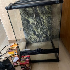 爬虫類ケージ　GEX EXOTERRA の画像
