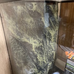 爬虫類ケージ　GEX EXOTERRA の画像