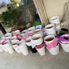 新しく入りました、植木鉢の画像