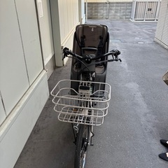 ビッケ　bikke
の画像