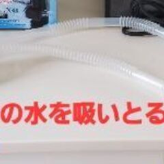 水槽(虫かご含む)の画像