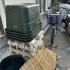 メダカ入門セットの画像