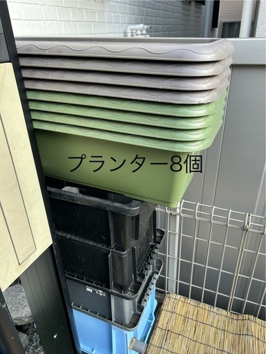 メダカ入門セット