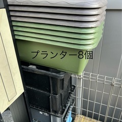 メダカ入門セットの画像