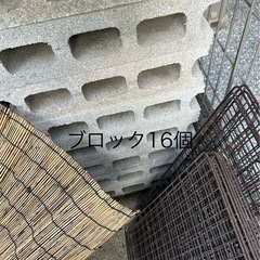メダカ入門セットの画像
