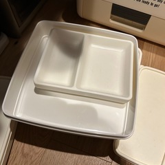 フィールドバスケット　ファミリー
の画像
