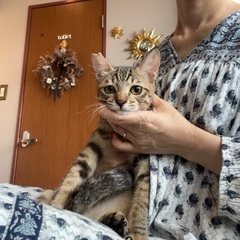 フミフミが止まらない❣️男の子うり坊