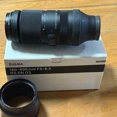 SIGMA 100-400 F5-6.3
の画像