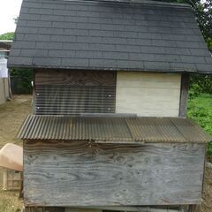 物置＆大型犬小屋にどうですか。の画像