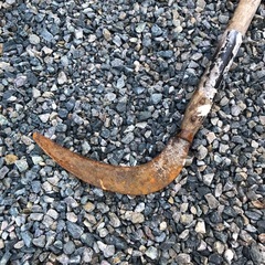 鎌の画像